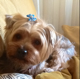 Avatar de Usuario